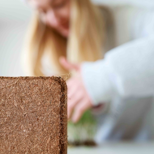 Cocco per la coltivazione di microgreens-7439.jpg