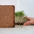Cocco per la coltivazione di microgreens-7453.jpg