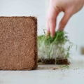 Cocco per la coltivazione di microgreens-7464.jpg