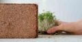 Cocco per la coltivazione di microgreens-7458.jpg