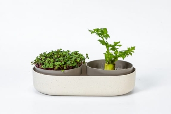 MicroGreens + ReGrow