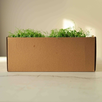 Scatola-di-trasporto-per-micro-foglie.jpg