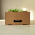 scatola-di-trasporto-per-microgreens