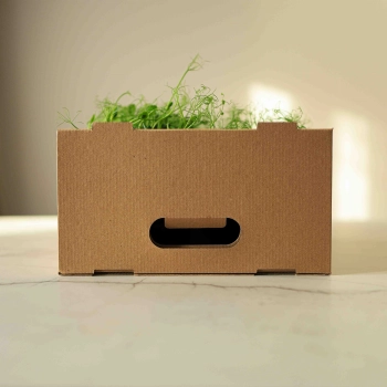 scatola-di-trasporto-per-microgreens