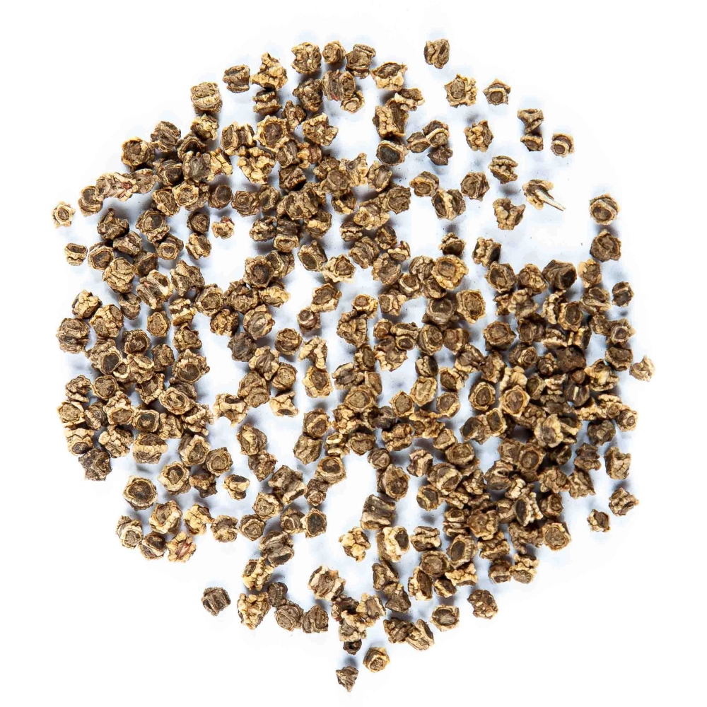 semi di microgreens di bietola