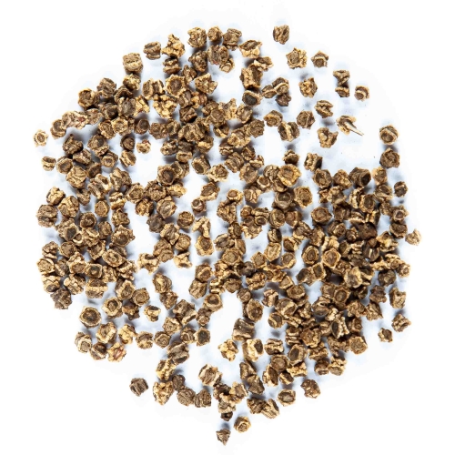 semi di microgreens di bietola