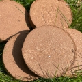 Coco Coir Discs