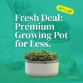 growing-pot-promo