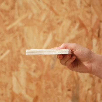 Cellulose Growing Pad