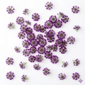 Alyssum Violet Queen