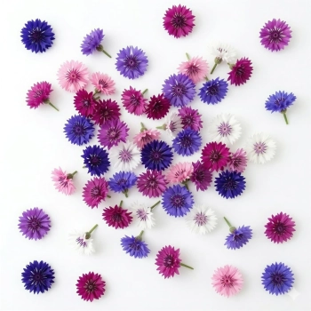 Fiordaliso Doppio Mix