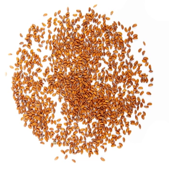 semi microgreens di crescione