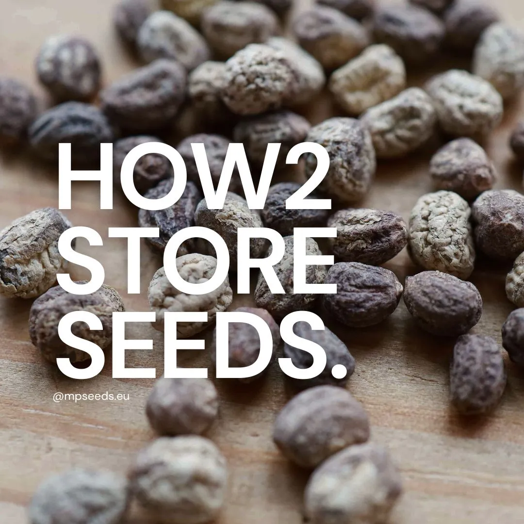 Soluzioni per la conservazione dei semi.