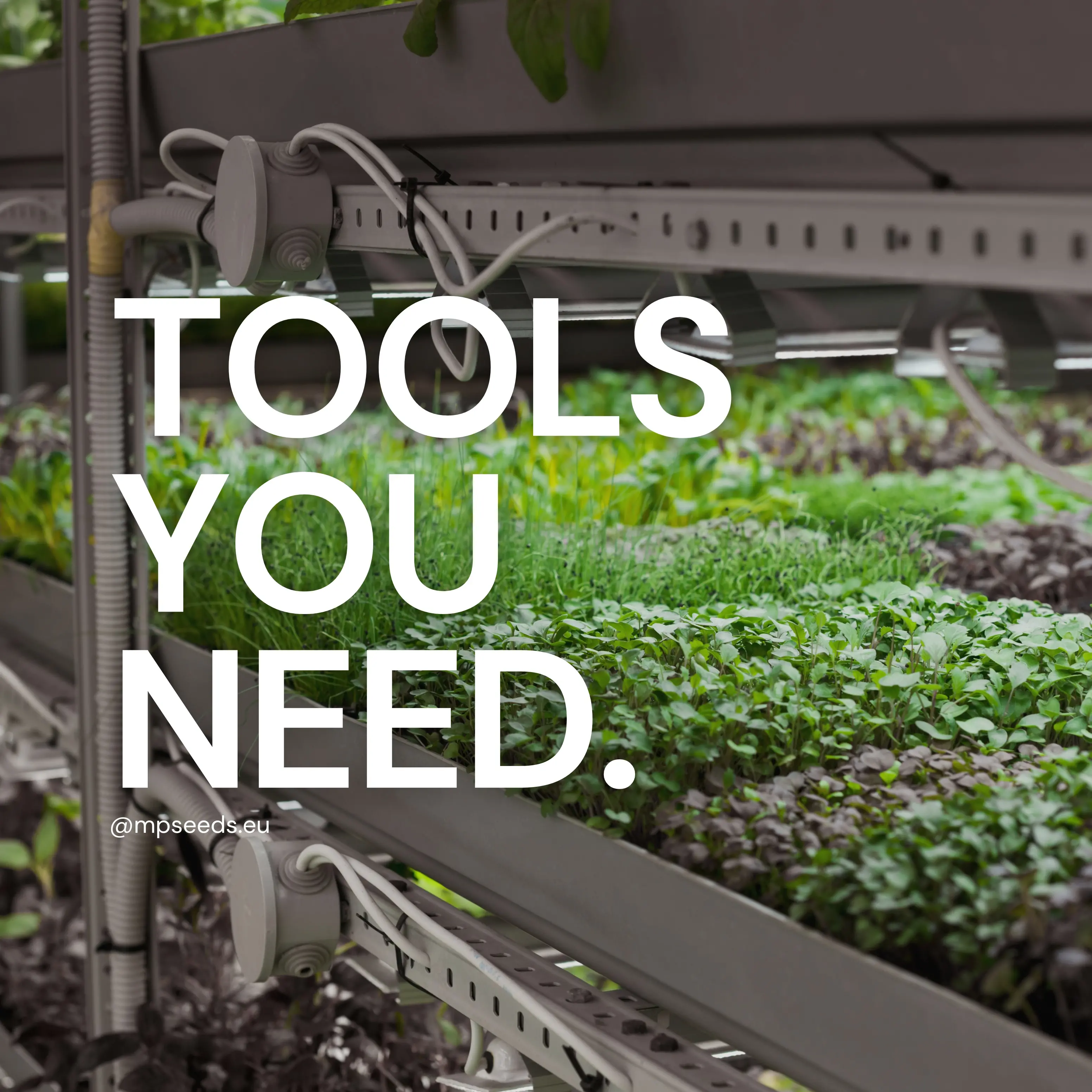 Accessori per coltivare i microgreens - copertina del blog