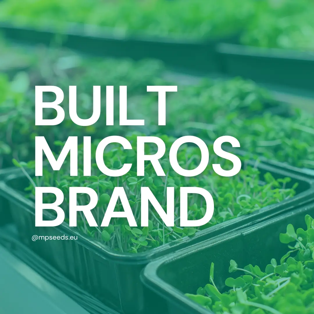 avviare-un-attivita-di-microgreens-di-succsso