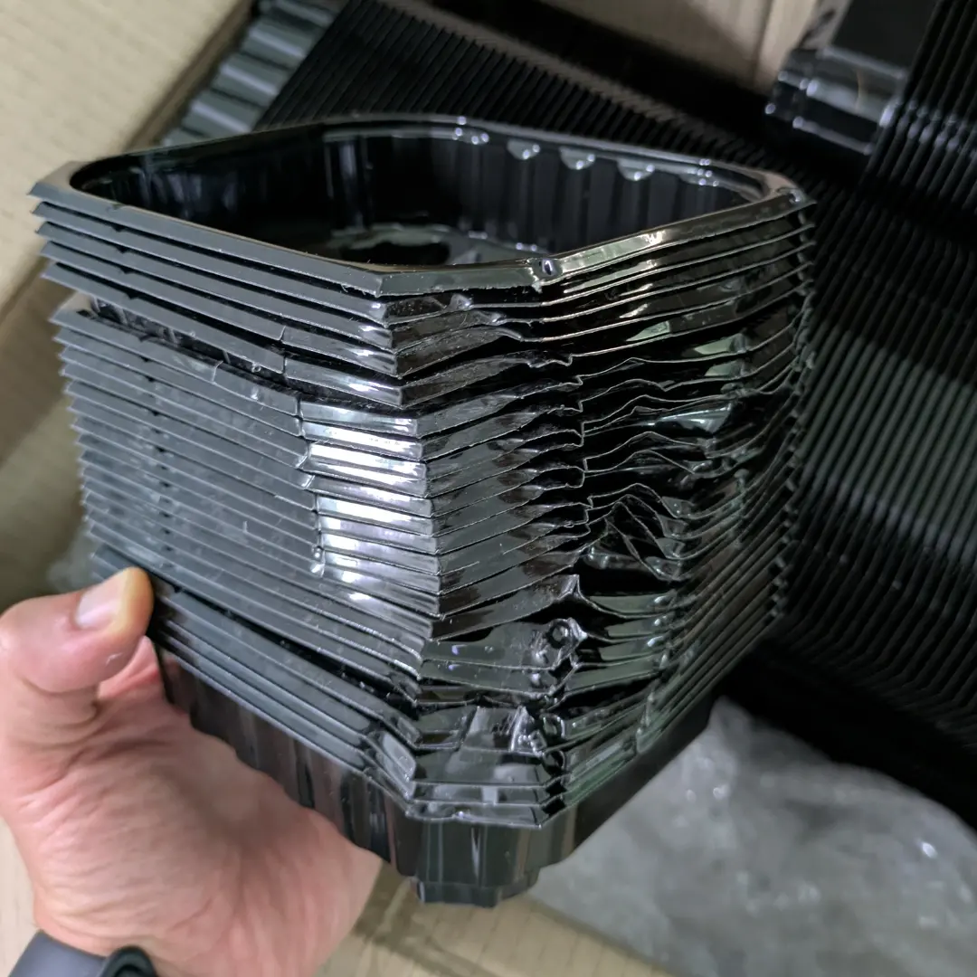  invio di semi errati