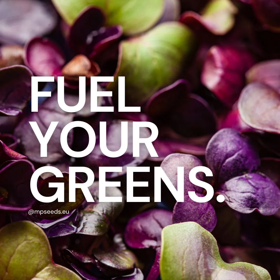 Fertilizzanti per i microgreens