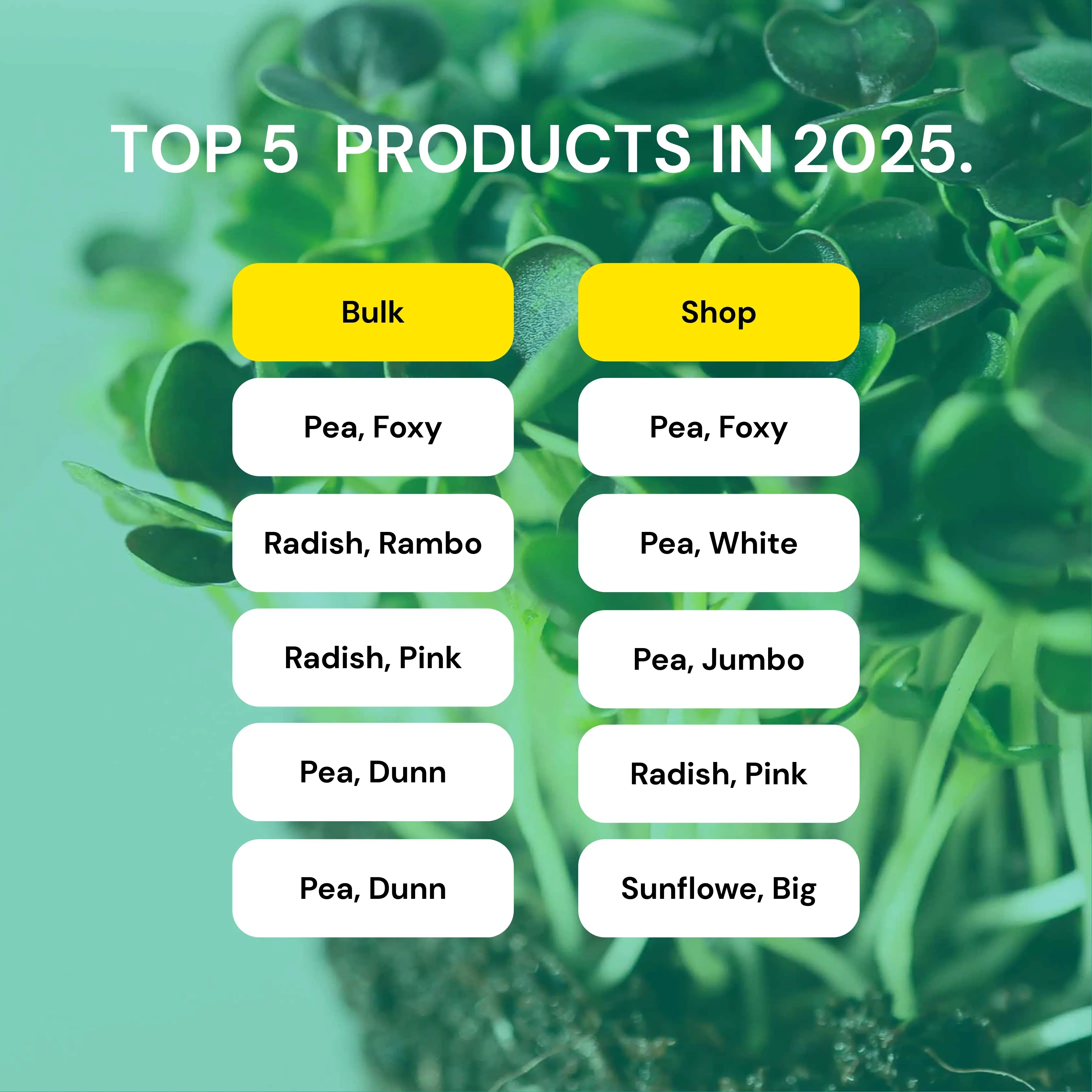 top 5 products