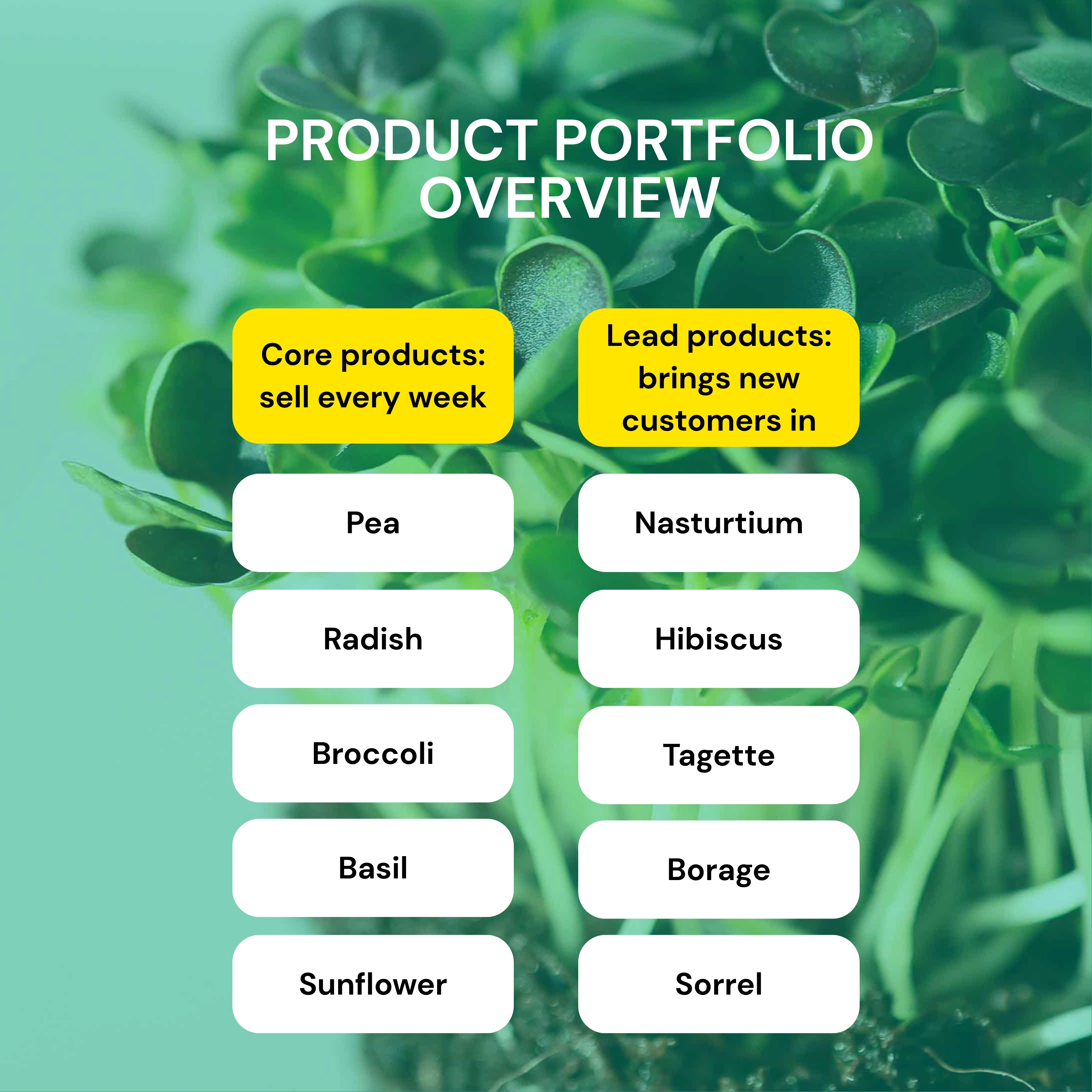 prodotti-core-e-prodotti-leader