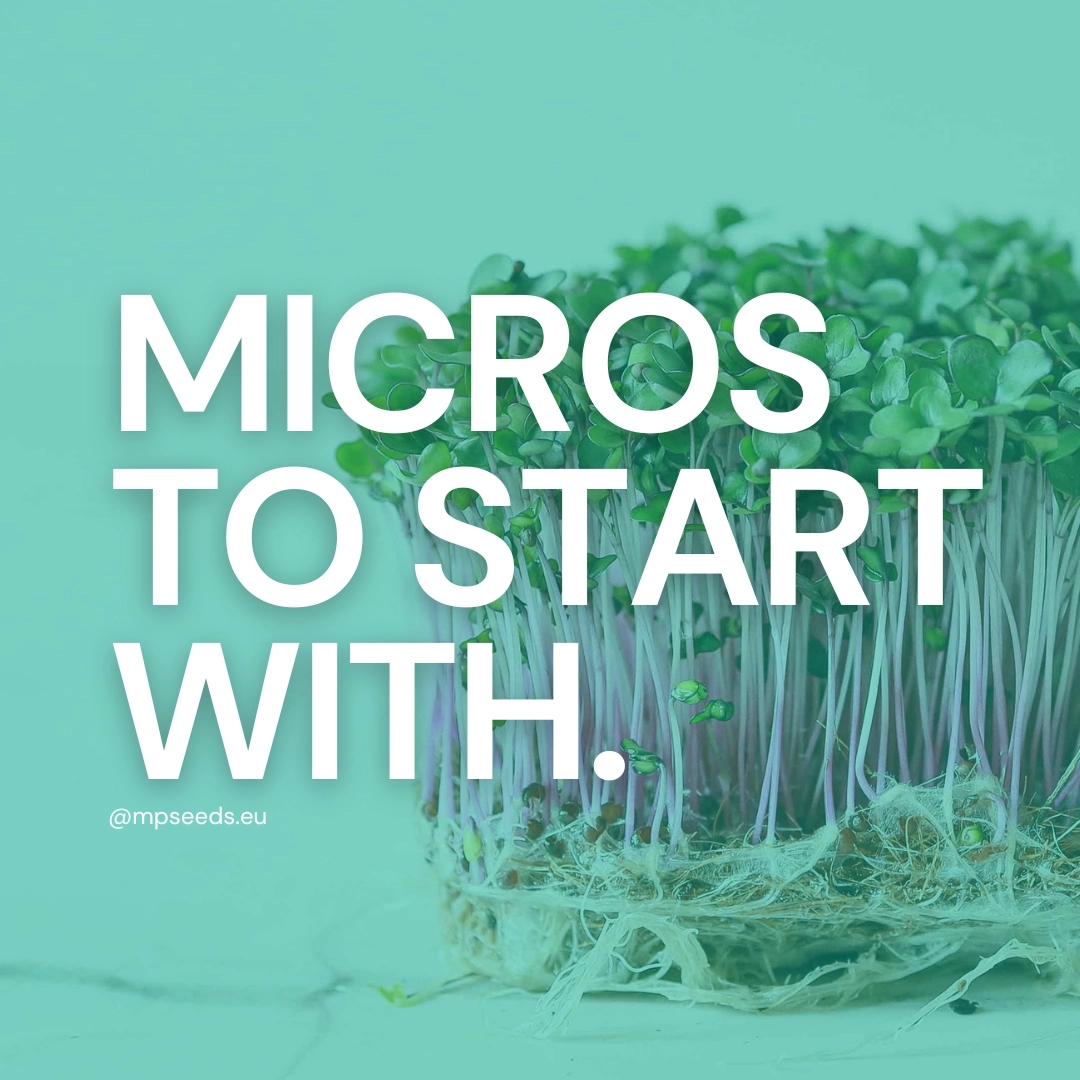 microgreens per principianti