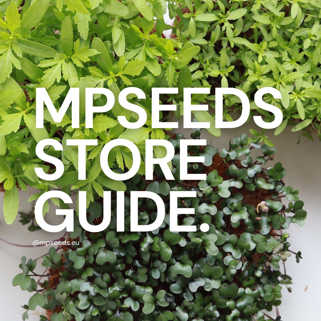 Esplora lo shop online MP SEEDS. Scopri come ordinare facilmente i semi di microgreens.