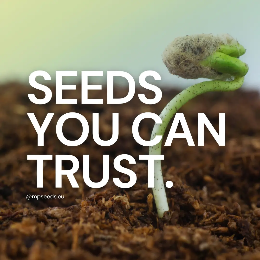 garanzia-di-germinazione