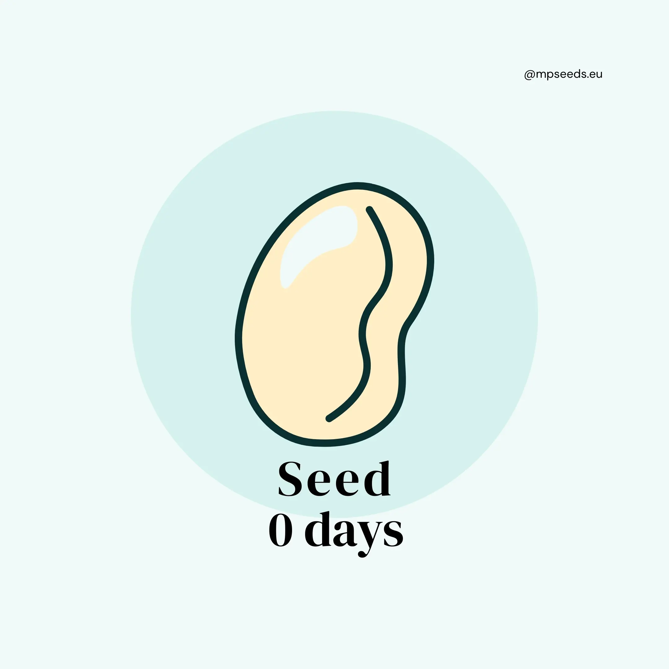 Fase 1: Semi (Giorno 0)