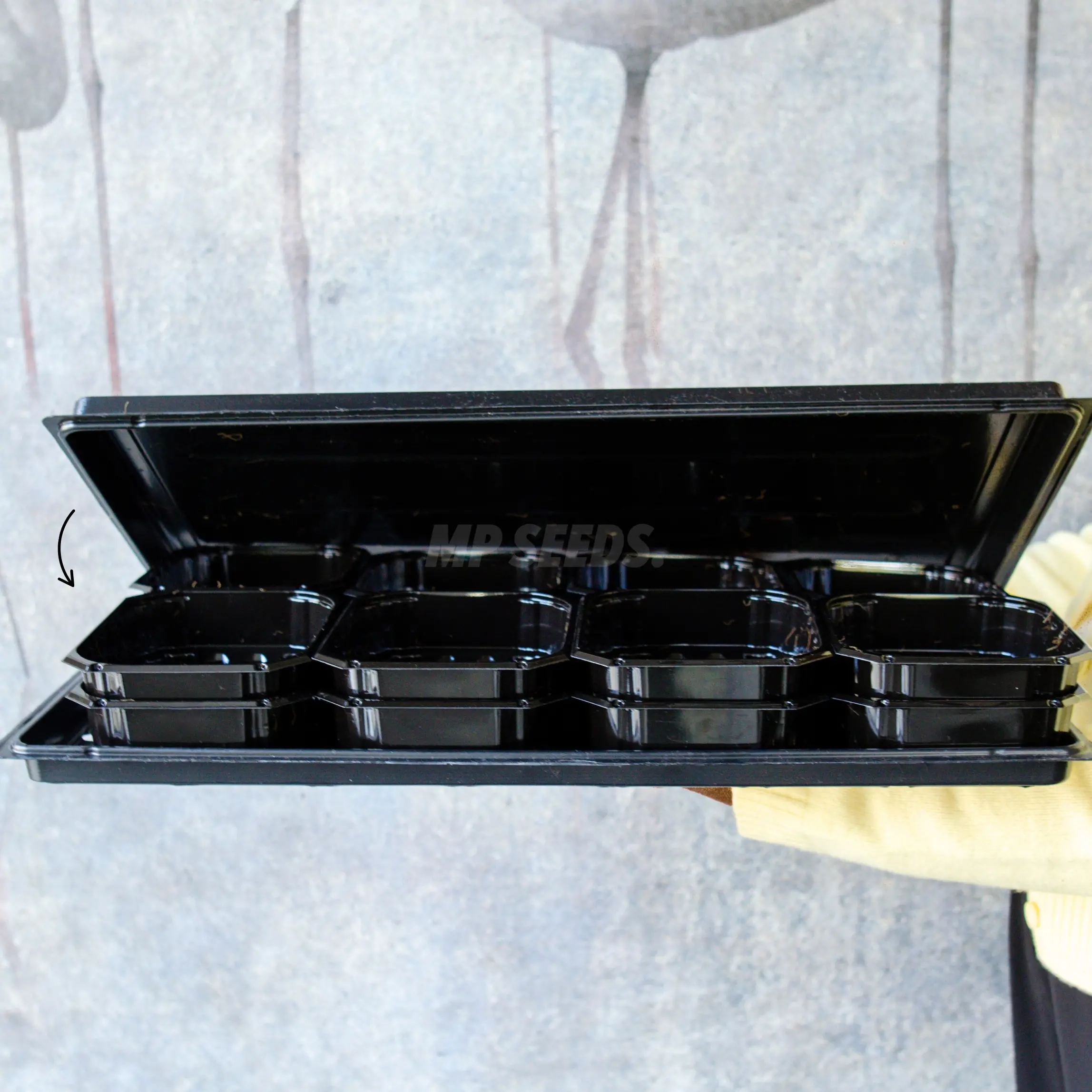 i giorni di blackout