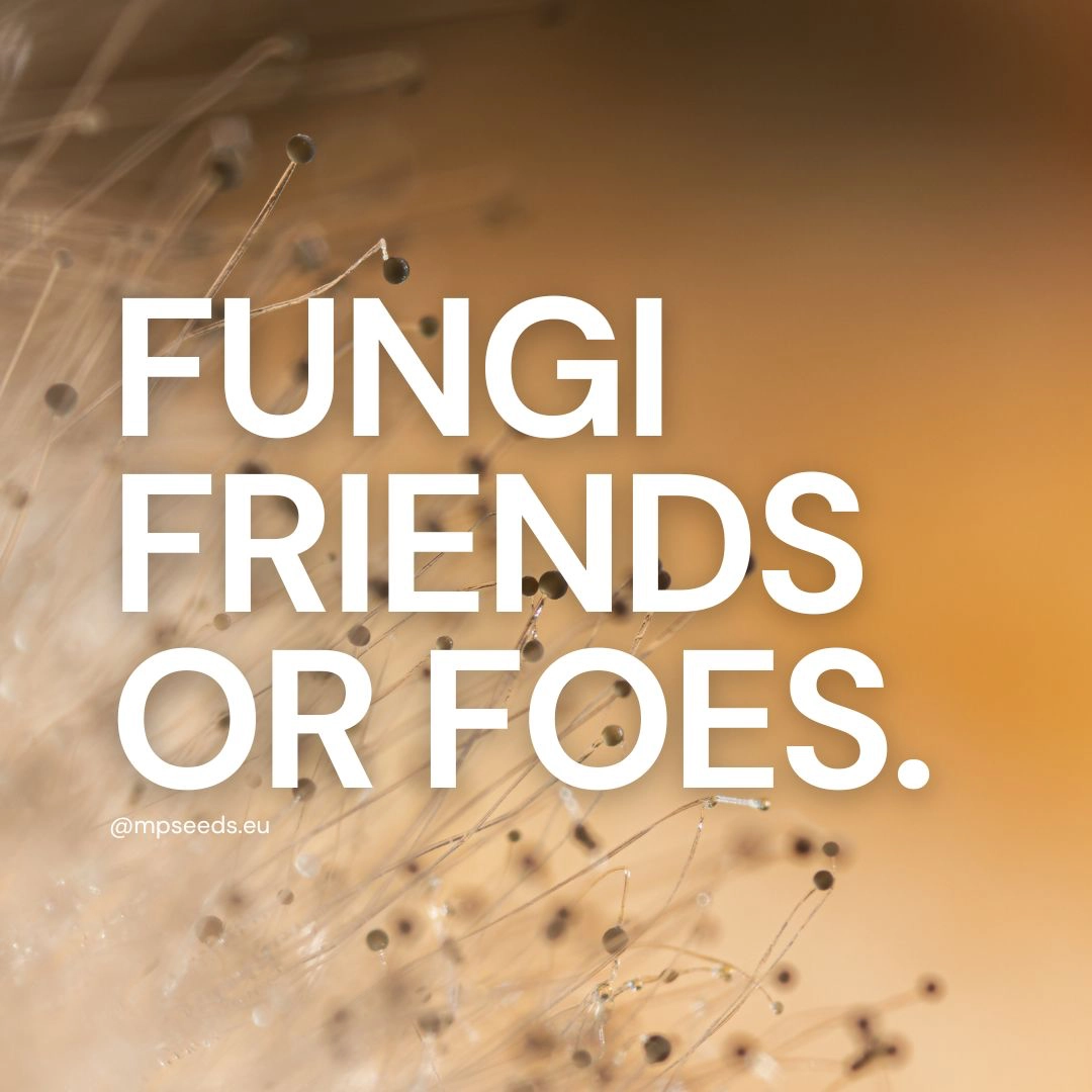 Funghi nei Microgreens: Esempi di Specie Benefiche e Dannose