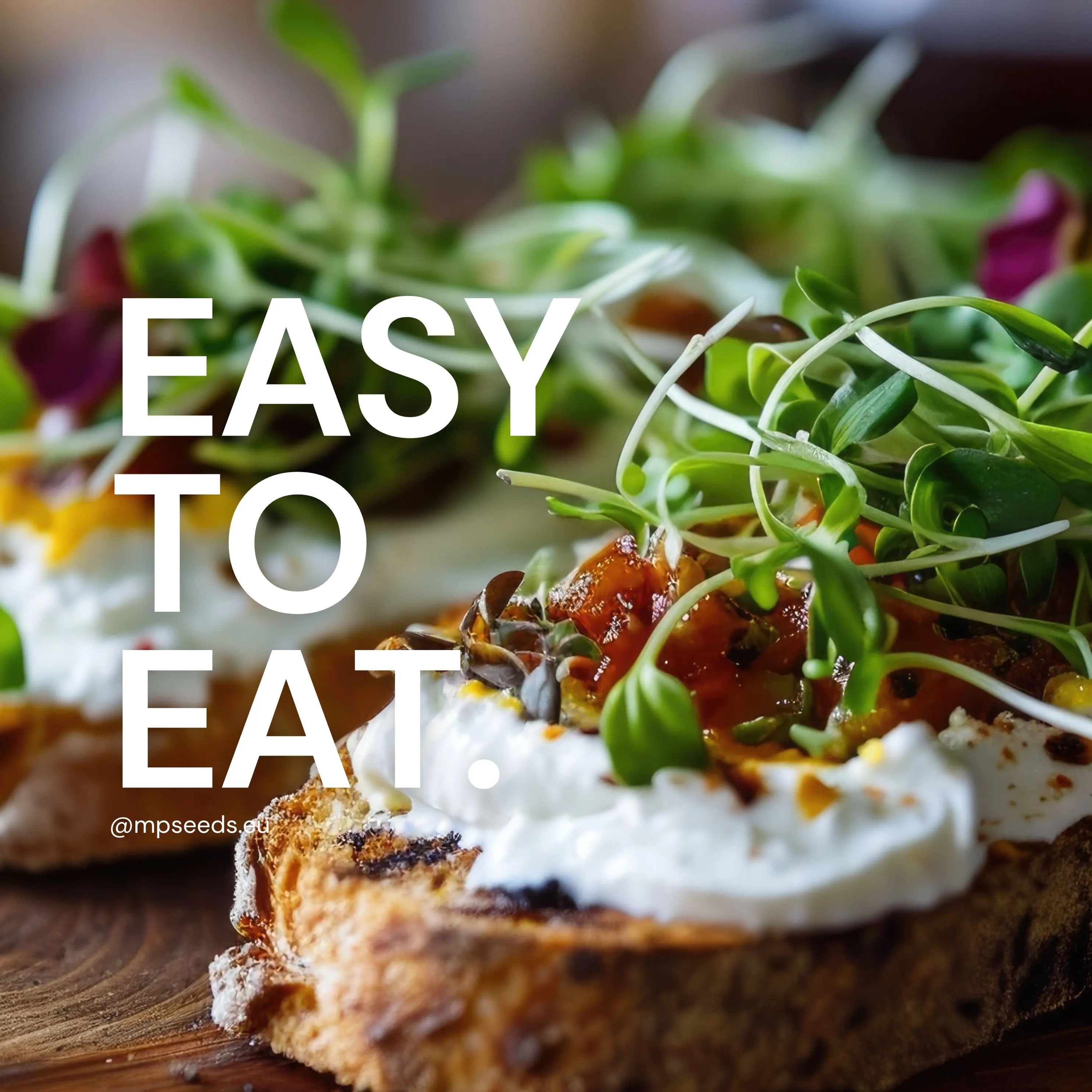 Come mangiare i microgreens? 5 ricette facili per un pranzo nutriente