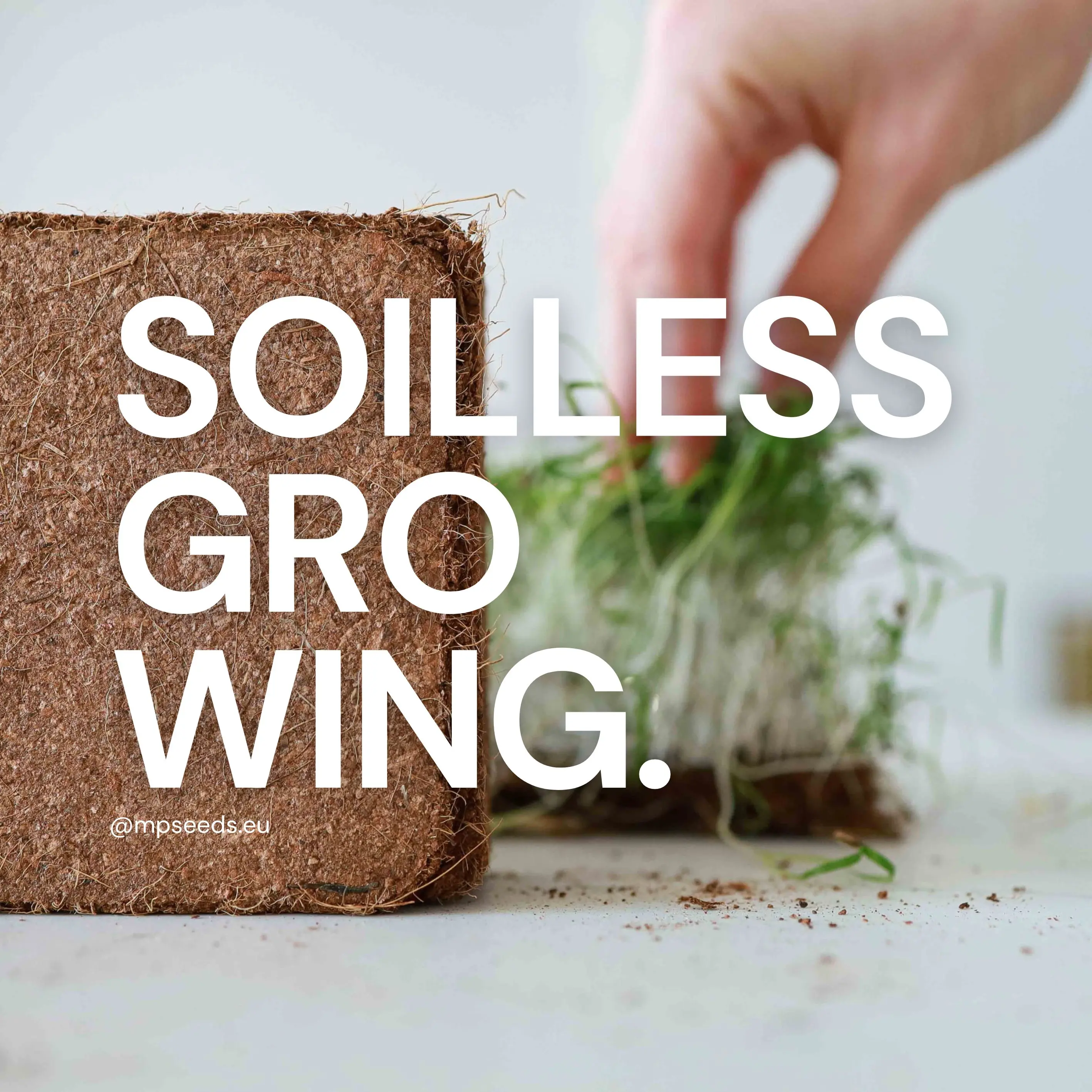 La guida definitiva ai substrati di coltivazione per microgreens e ambienti controllati