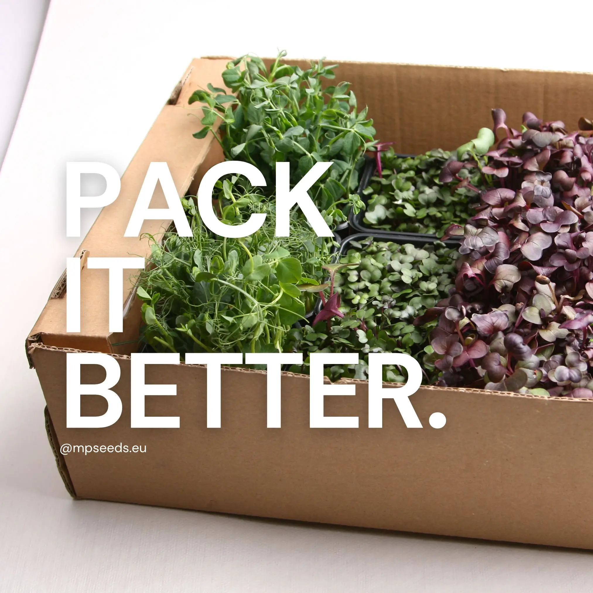 Come confezionare i microgreens?