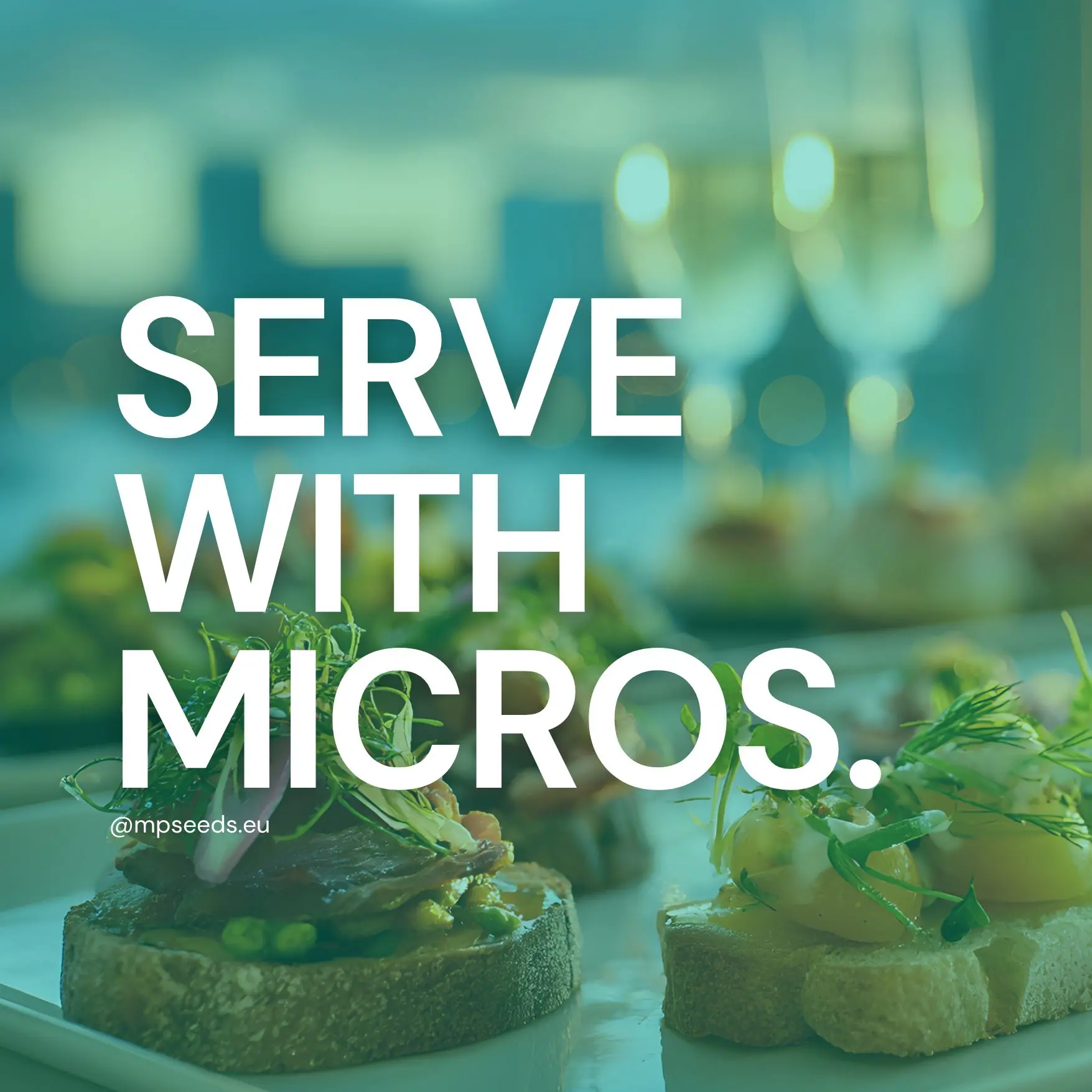 Microgreens nel catering per eventi: come creare un menu che vende?